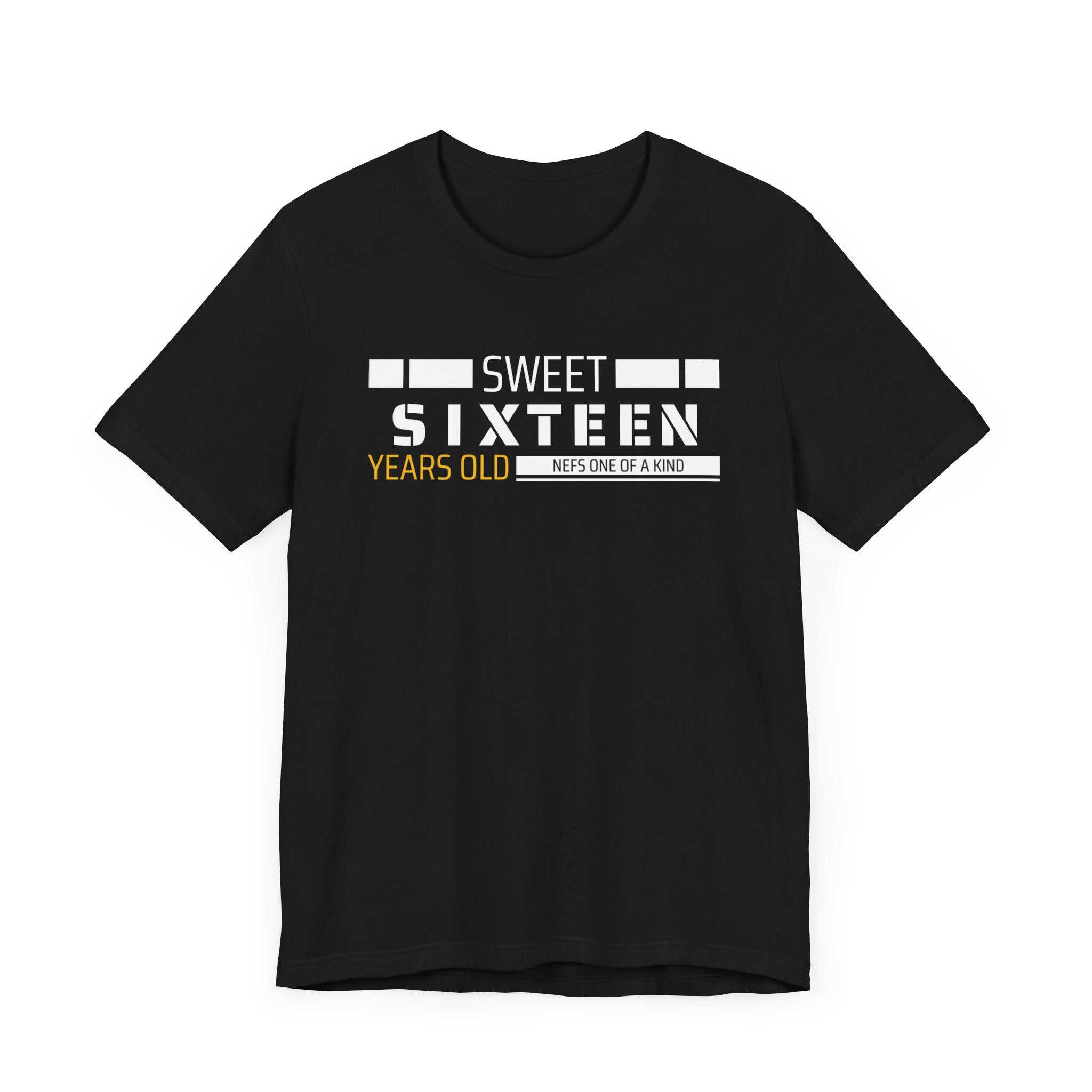 Sixteen year old Unisex Adult Tee